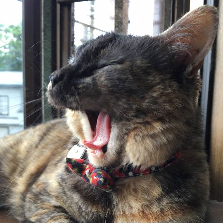 C6cddbe8 9a35 4dc2 8e89 55d42a8f4847