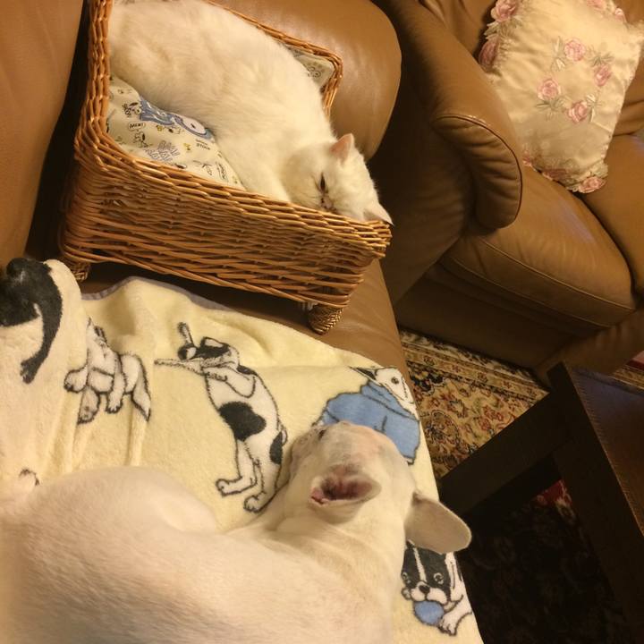 C6ce2afe 8978 421f 9ee6 4e7087d54e3f