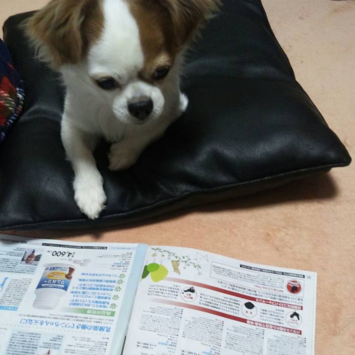 C6cf3961 6ac2 49f4 9506 7edf1a46beca