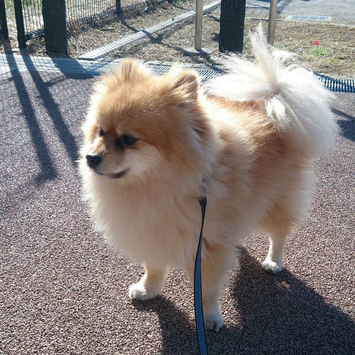 C6d01b3e 5604 4dfe 9b55 a1ed8f98380d