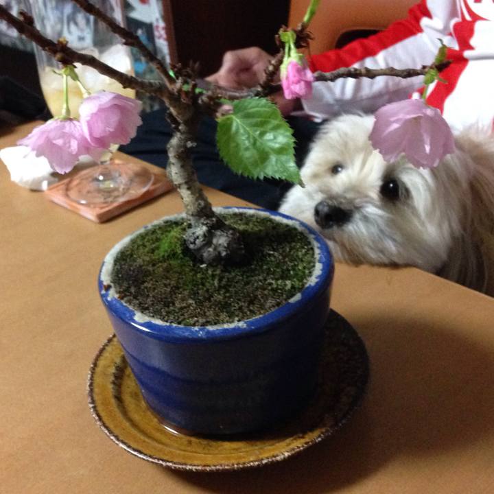 C6d0f702 774a 487c 88fd 9b2f9e895e9a