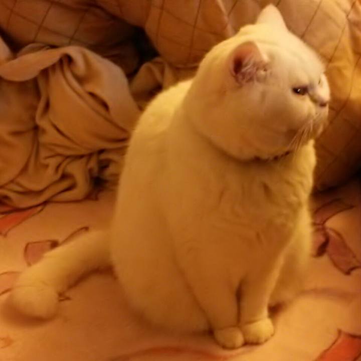 C6d13447 9c62 4f77 8e5b 74c6a7e7cfe1