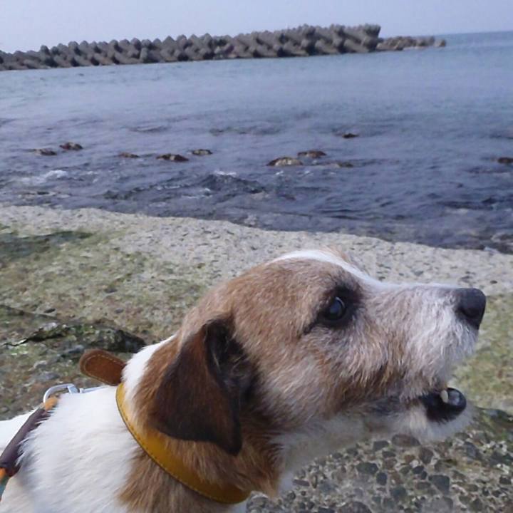 C6d1ceab 8d5b 4892 ba39 ab5a847d2917