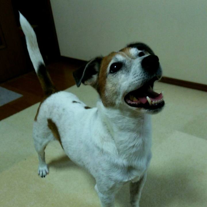 C6d23dda 4282 409a b983 ffa7d3fa0505