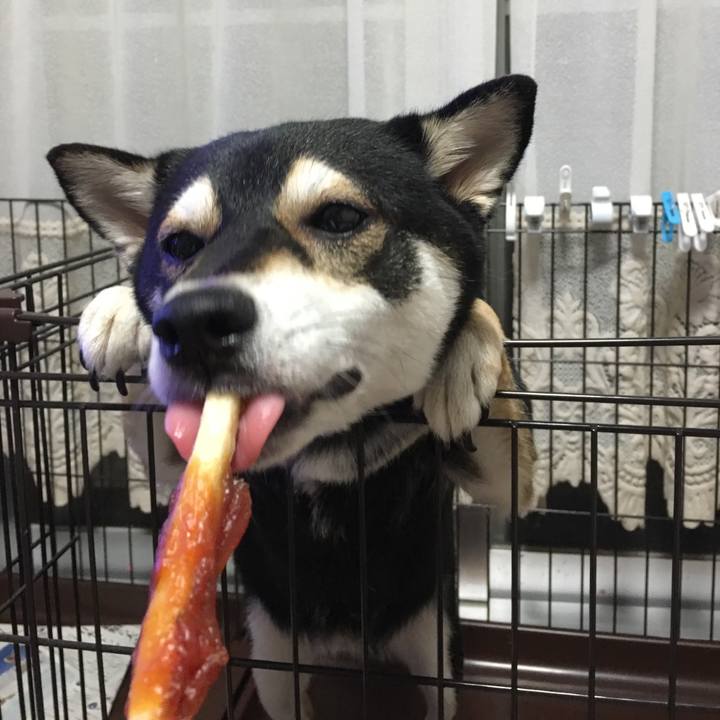 C6d26f24 a85a 4c88 a8f2 abfeea42e10c