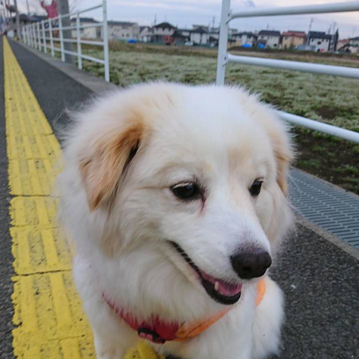 C6d2dd45 59d6 402c 84a9 9c6c3d05af98