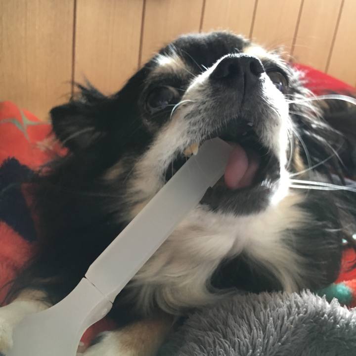 C6d3fa23 3379 43bb 89cd 131a80e51ca9