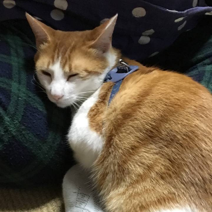 C6d4a593 ee59 4fc2 983b bf14305a7da3