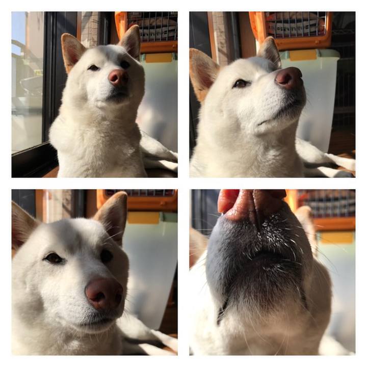 C6d4b8f1 2df6 4249 8b74 04d64075cc57