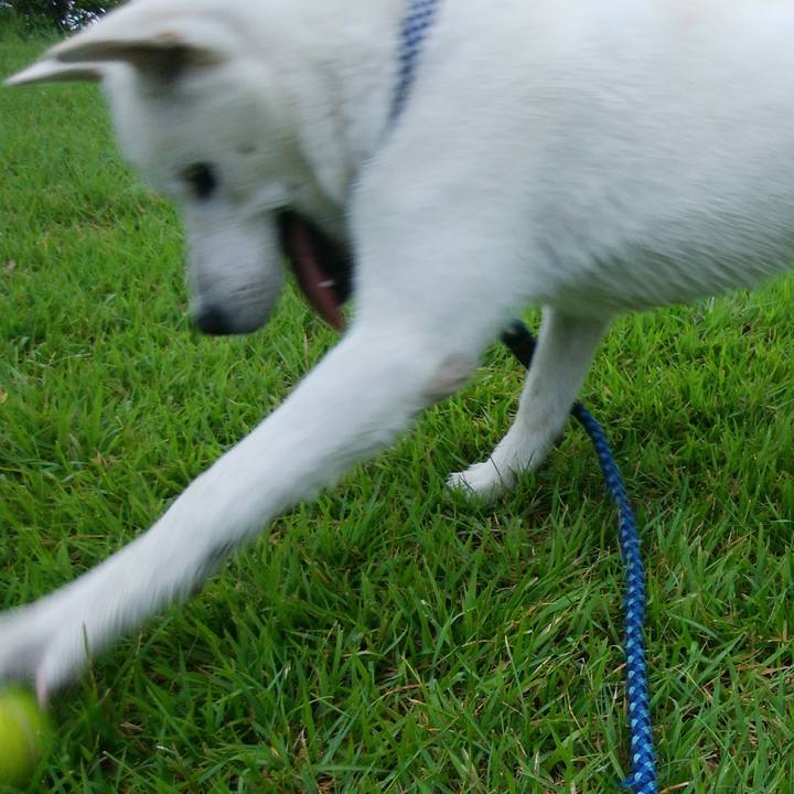 C6d51cb4 8f73 4daa 9498 c6801c79d725