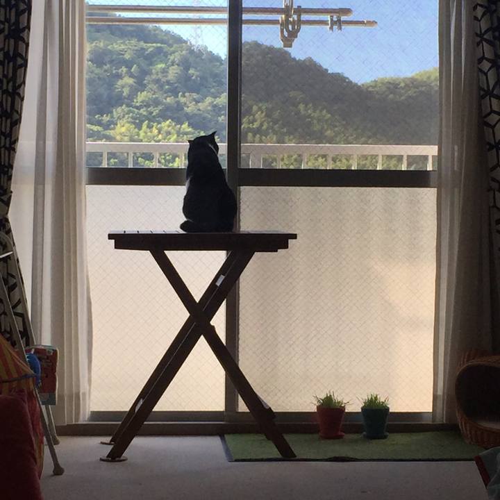 C6d611e3 27a9 43f8 85ac 271c26fb0242