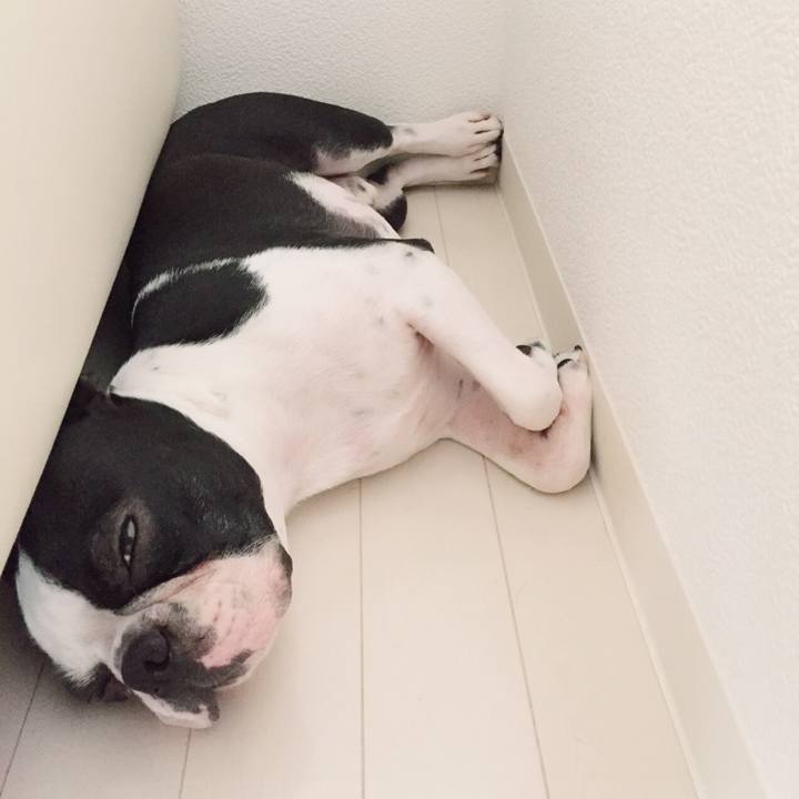 C6d62e1e 1927 4e51 abd4 b57c83277a65