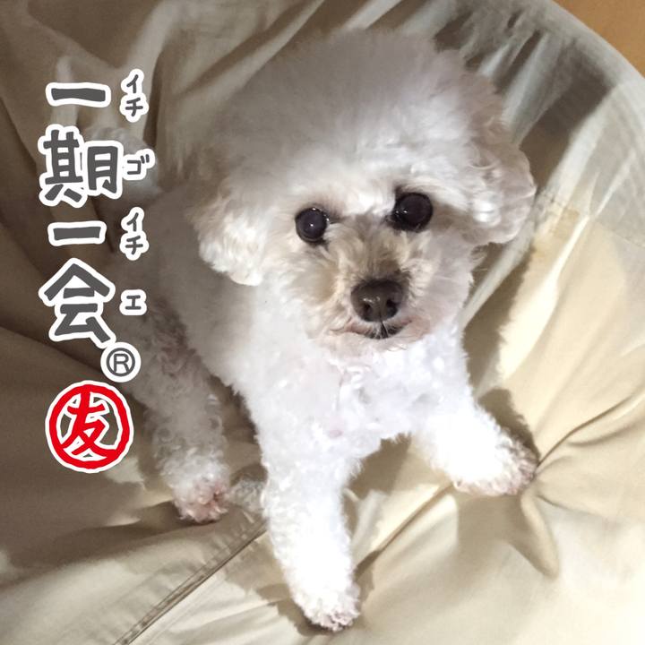 C6d74dca 50e1 4e1c b70c 6dbe75a0d444