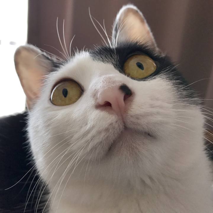 C6d77b90 3a78 4598 b40b 07a5ba9f6a1f