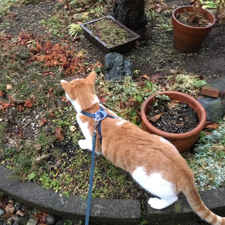 C6d78807 b3ad 4aae a638 bc43be1fd9f5