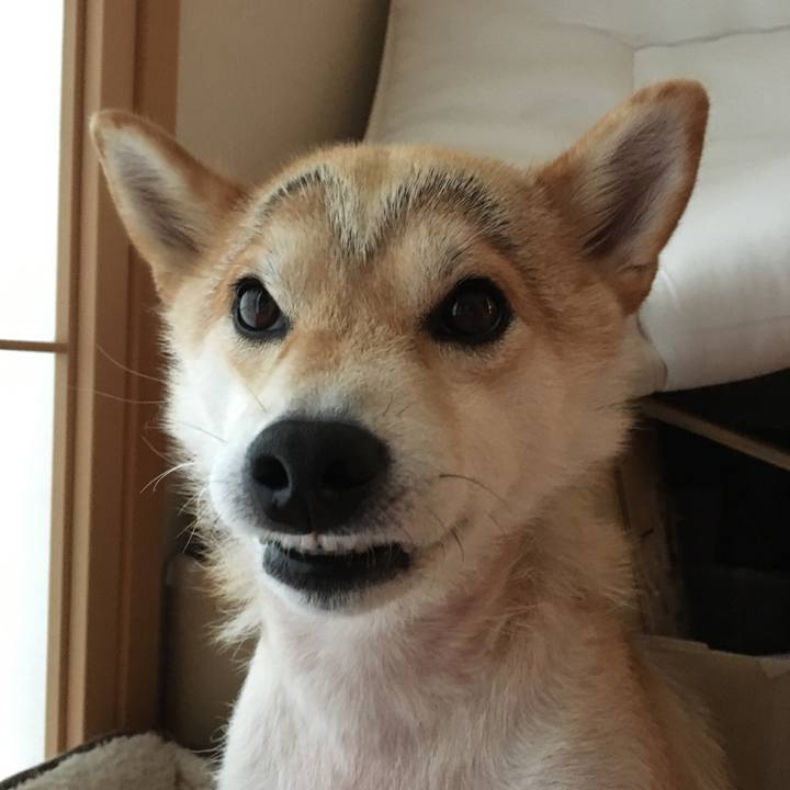 C6d7a3e9 8c07 4ce0 8dd3 f33275a1b96c