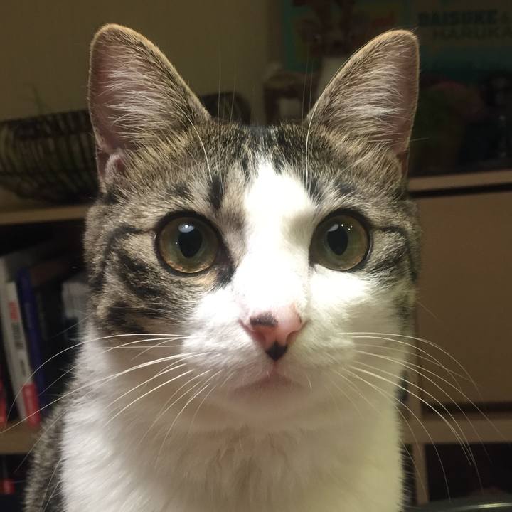 C6d7dfde 3a74 42ea 8150 0cb44f57a87c