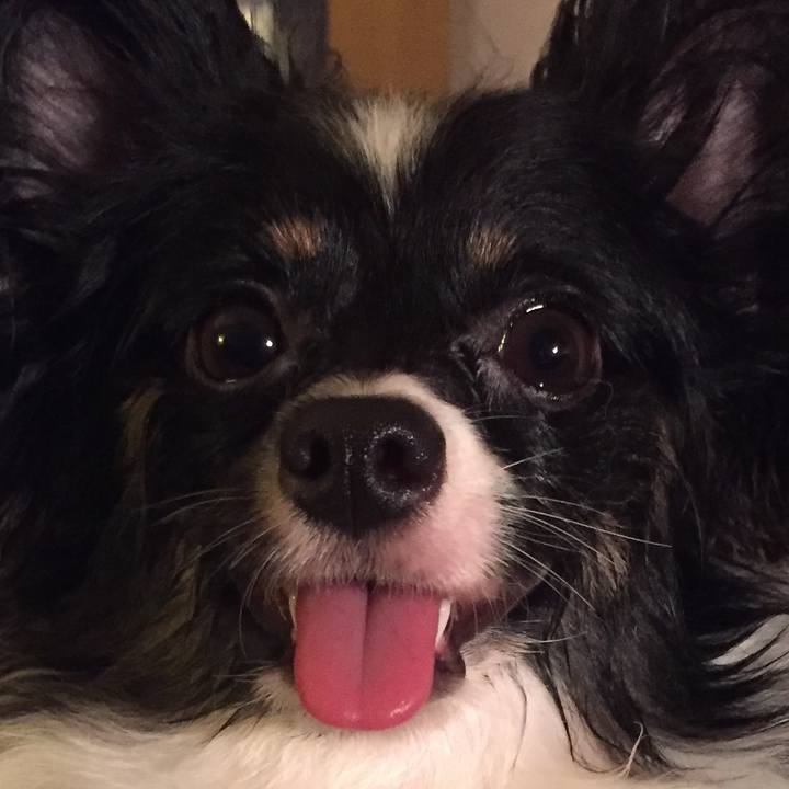 C6d7e06b 2ced 4aa5 9d3a 7ac75b2a7a15