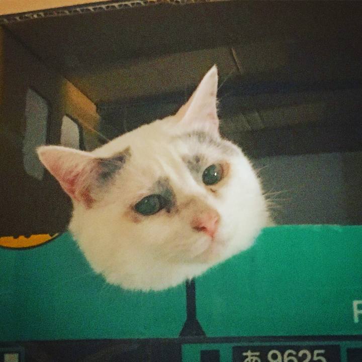 C6d85740 7cb9 4477 94d0 376de532f845