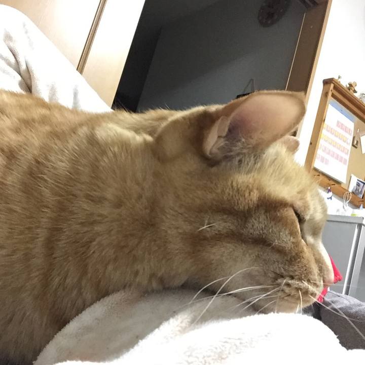 C6d878eb c761 4ba6 ae3e f218e64ed0e0