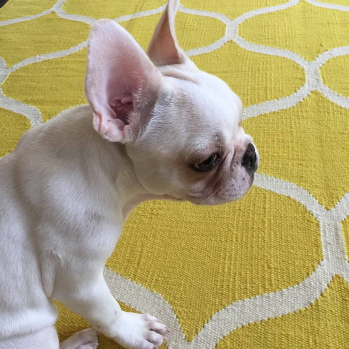 C6d8e1d0 9b36 4958 972f 5e173841f534