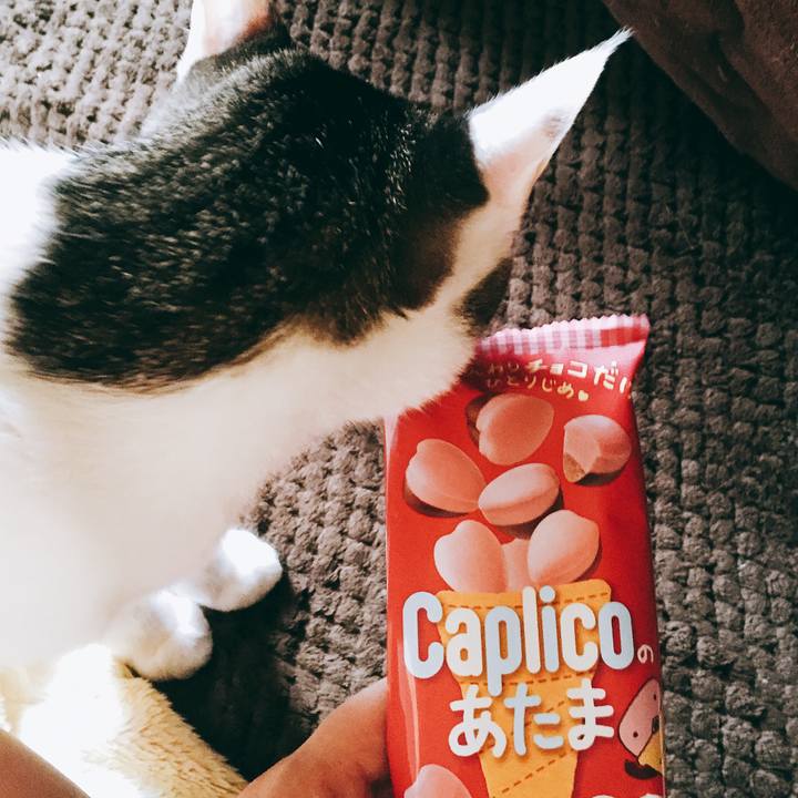 C6d928eb e992 4ced 8507 7552fe99c076