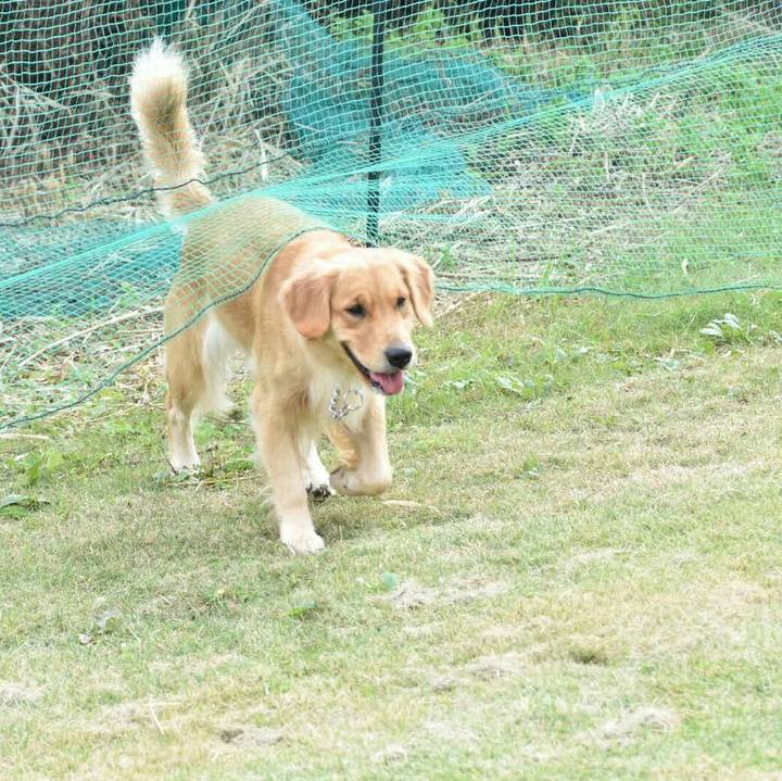 C6d98ef1 9af1 4fc9 bf70 2a79813c910b