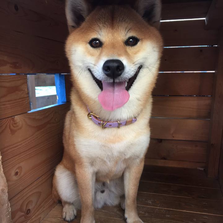 C6da8330 2b61 4eae 9428 dba9a977ca9d