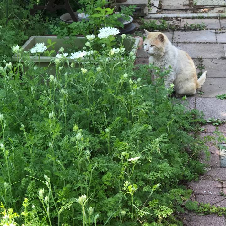 C6dab6ba c7ce 41bc 90ac 5ef0147f6420