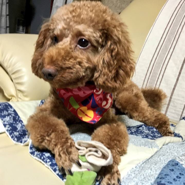 C6dae059 7965 4336 bb43 367f1cd750ca