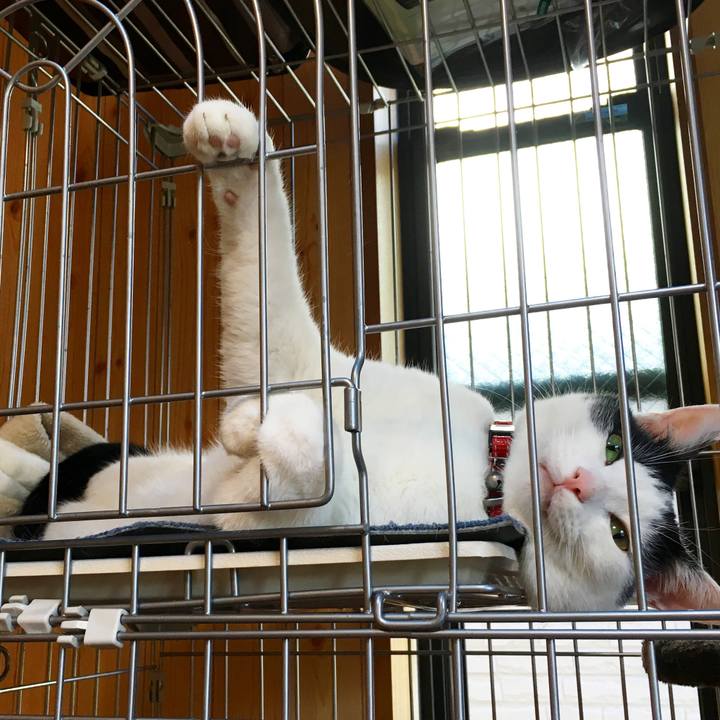 C6db8fbf b5a4 41ed bd68 d2f03aa1c9d7