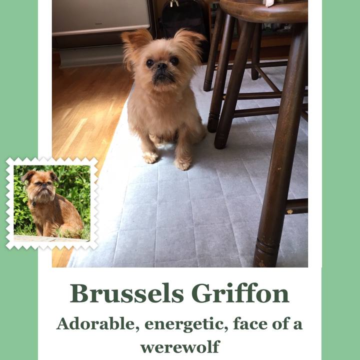 C6dbe780 93e1 4a65 a7f8 48df46a46c9c