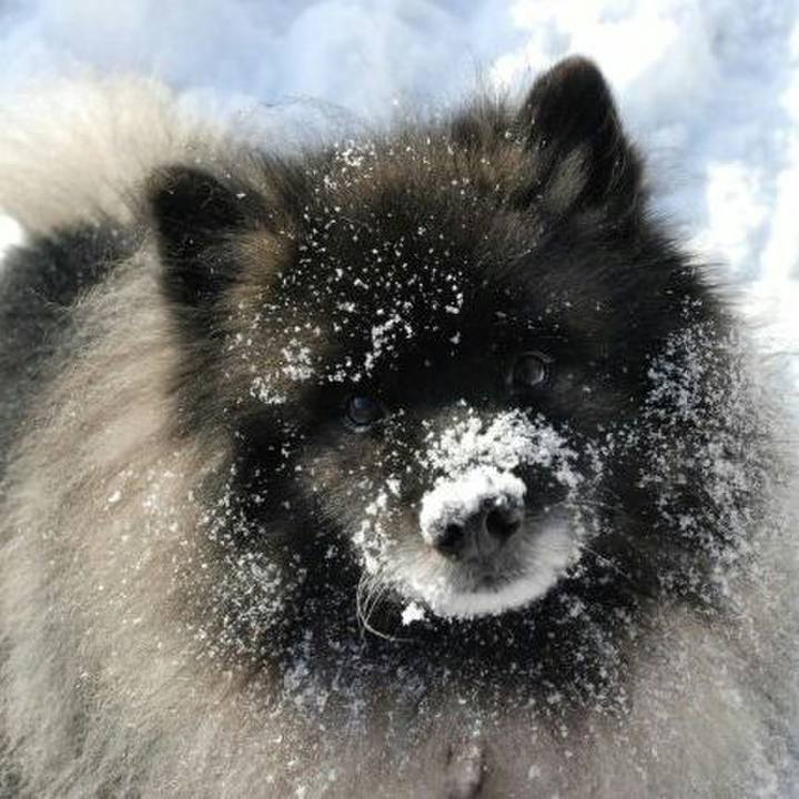 C6dd2920 2142 4eca 881b a5d5ccd88031