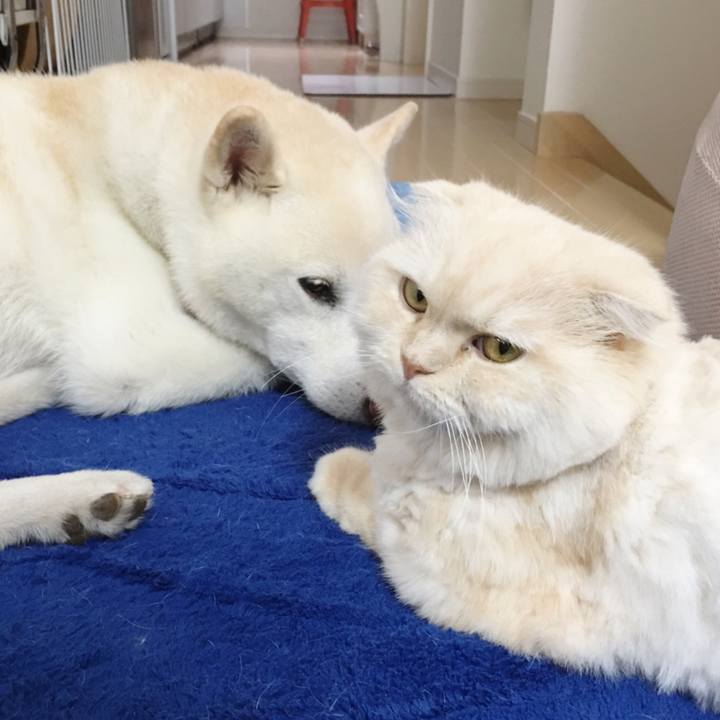 C6dd2cc3 126d 4538 9569 e1965d6d594f