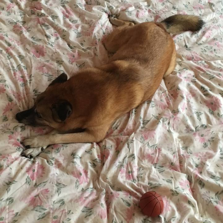 C6de7fe8 84fe 4b7d 86e3 96112b352a44