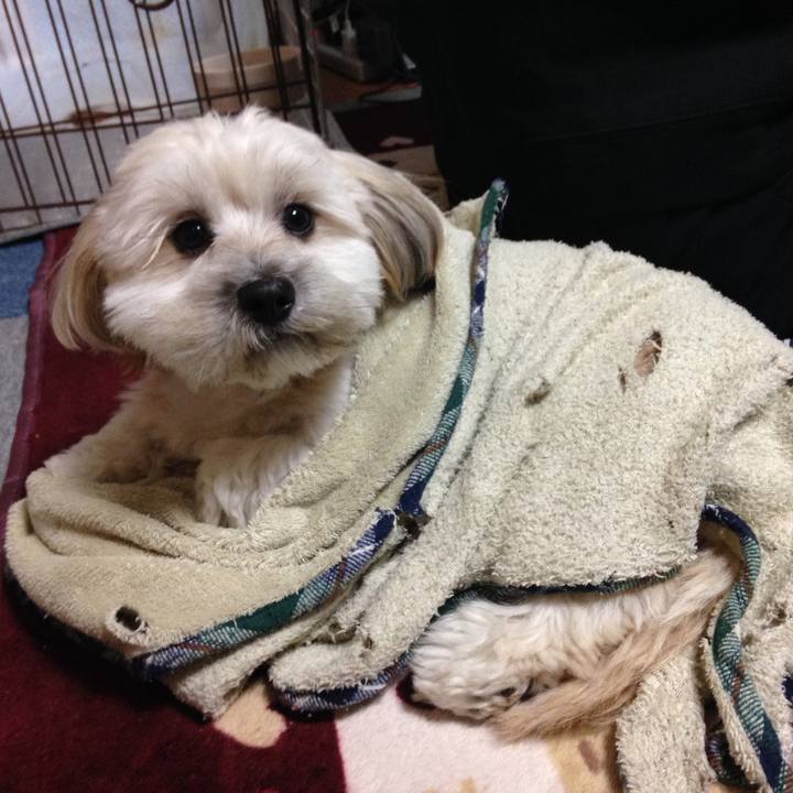 C6defa11 ffaf 4b5a 9284 75a458dcf34c