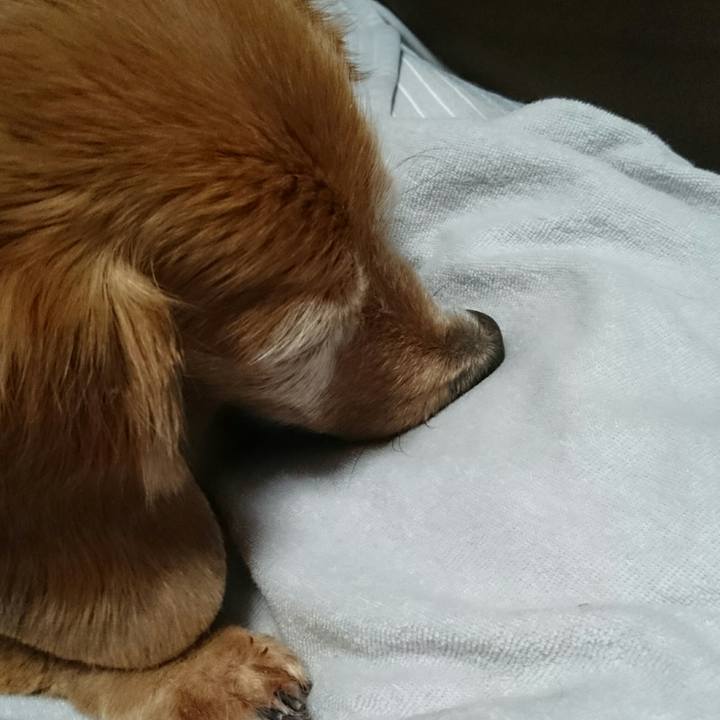 C6dfbc78 035a 4365 a72b 134a61c0c9a4