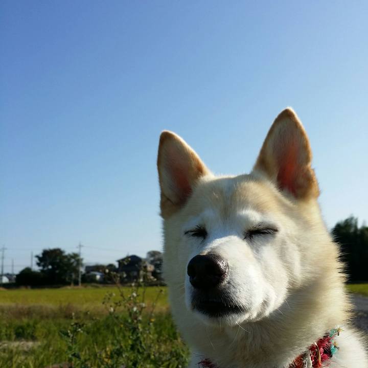 C6e01c22 5f18 4b4a b7c3 0b01ed13809c