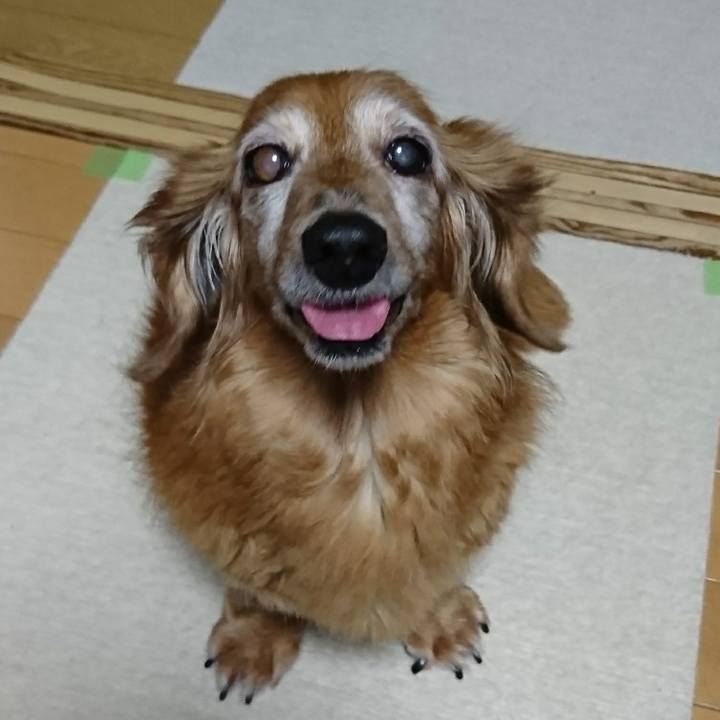 C6e12996 014e 472c 868c 48a2de67de09