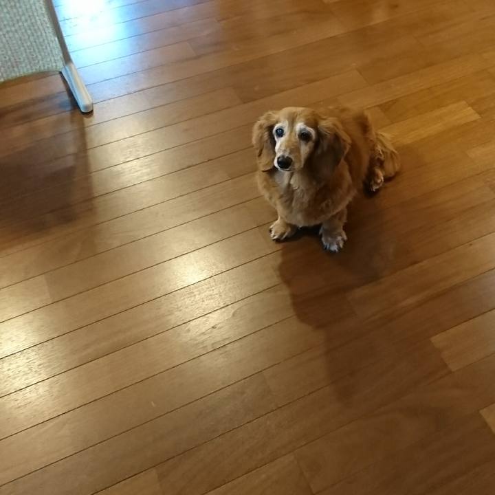 C6e1474f 4ce7 453e 97bf 924feb7d3bbc