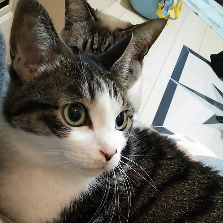 C6e1d817 47e3 4df9 b110 a1c8b5522f73