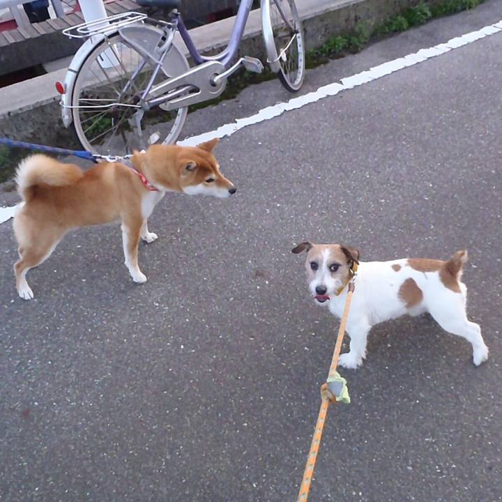 C6e1e3f7 2a61 4ebc b0e6 9afd1ad97e74