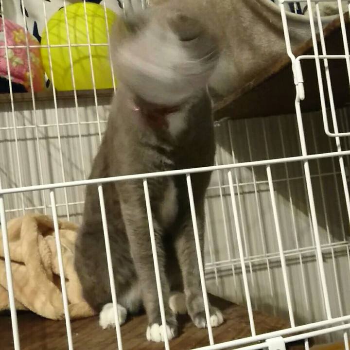 C6e1ef4f e771 4188 8f4b d77b52ea2827