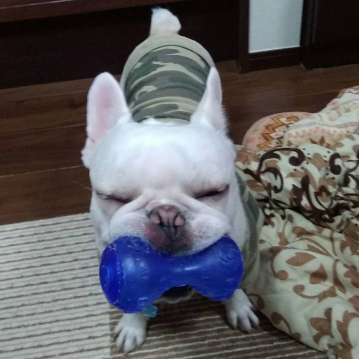 C6e26875 b16a 4a74 9fda 5bc9181828be