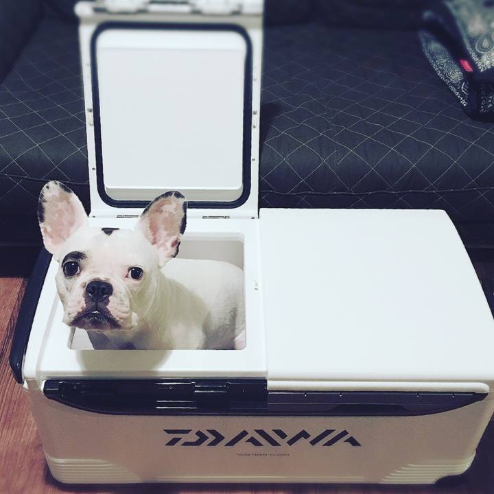 C6e3cb46 3ecb 45c1 bb5a 2b90b4132674