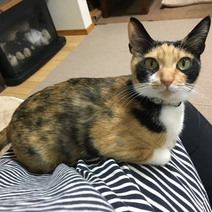 C6e480e6 436b 4786 8d5e e28e6e4346a3