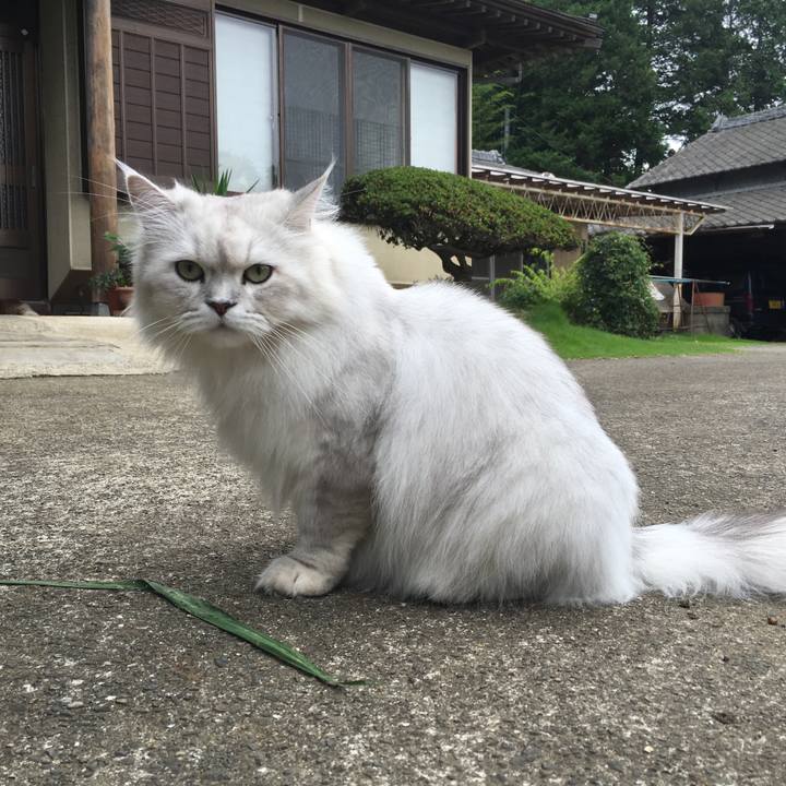 C6e482a6 df97 4742 bdda 65a6f863e480