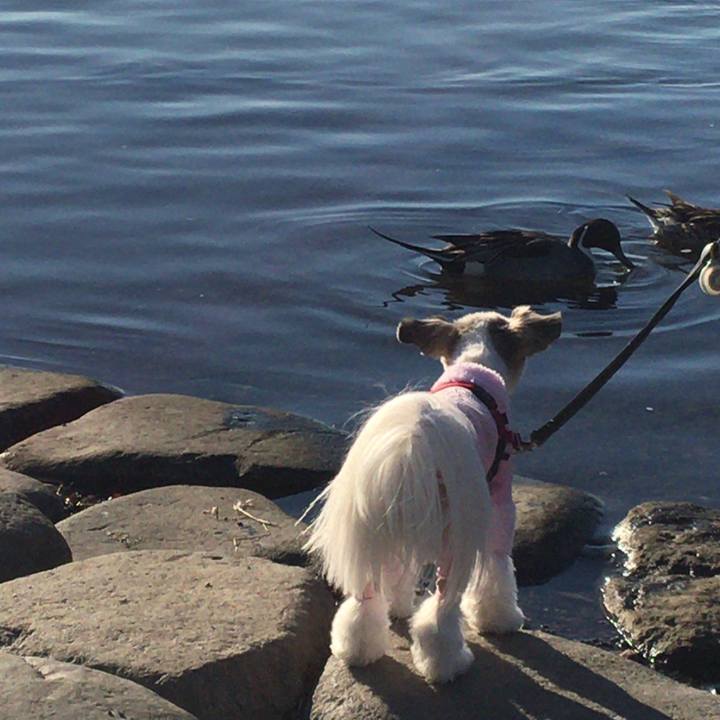 C6e48364 1b42 41e9 87c4 fc9c67d58e83