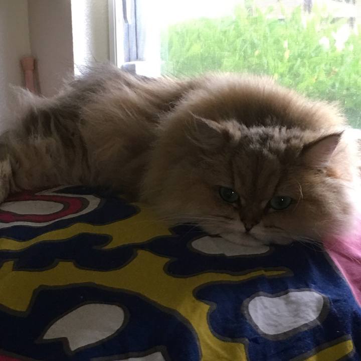 C6e50146 5d2c 46ec a051 9cdff832f1f1