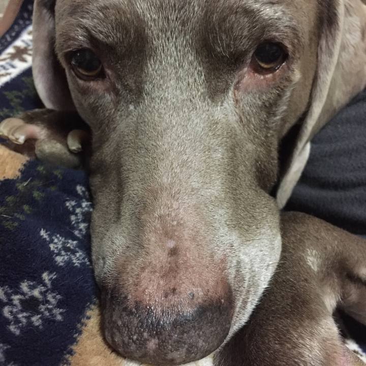 C6e5af6b 89ce 4e52 a569 1138eca457a2